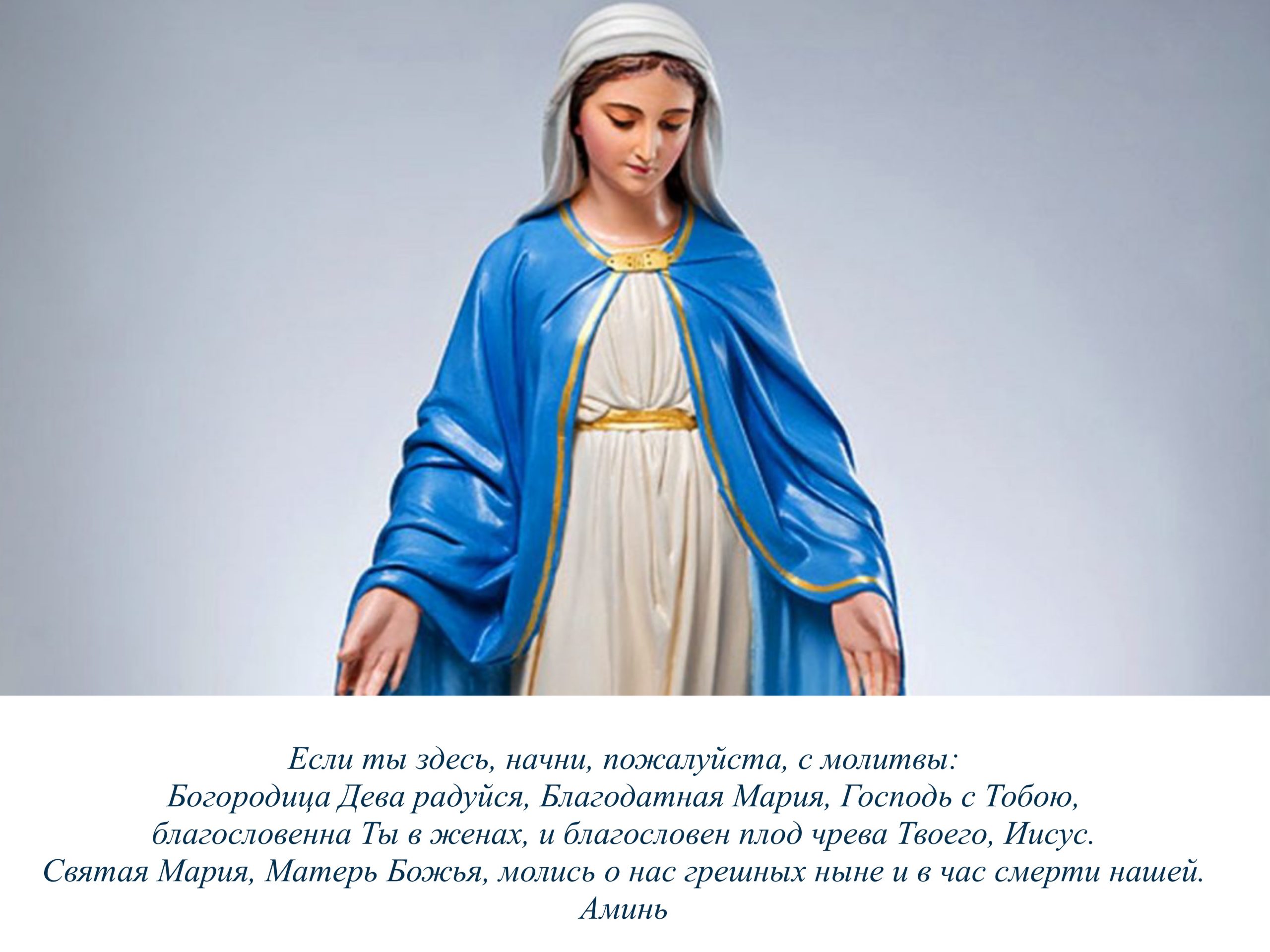 Святая дева. Дева Мария (Virgin Mary). Дева Мария католическая. Дева Мария в католичестве. Католические иконы.